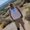 Photo of Ruben S.