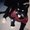 Photo of Fatima M.