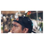 google avatar
