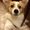 Photo of Maia D.