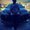 Photo of Anup K.