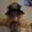 Photo of Jarvis H.