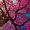 Photo of Andrea H.