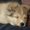 Photo of Moxie K.