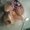 Photo of Barry M.