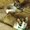 Photo of Laur P.