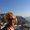 Photo of Debbie J.