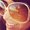 Photo of Sudhara H.