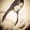 Photo of Monserrat M.