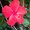 Photo of Debi M.