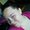 Photo of Lanna T.