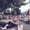 Photo of Shweta G.