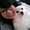 Photo of Uyen V.