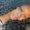 Photo of Jaonna H.