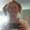 Photo of Tracey L.