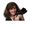 Photo of Sherry K.