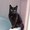 Photo of Bridgett T.