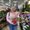 Photo of Angelica S.