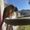 Photo of Rocio C.