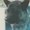 Photo of Me M.
