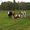 Photo of Qype User (ElGast…)