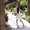 Photo of Victoria Putri T.