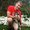 Photo of Brad S.