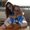 Photo of Nour B.