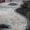Photo of Lourdes F.