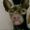 Photo of Amaya A.