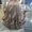 Photo of Maricela A.