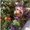 Photo of Qype User (satana…)
