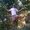 Photo of Josh R.