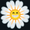 Photo of Deb B.