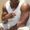 Photo of Lavon G.
