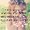 Photo of Catarina M.