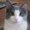 Photo of Kitty A.