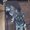 Photo of Robert R.