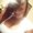 Photo of Desteny M.