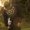 Photo of Mike G.
