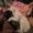 Photo of Cristel R.