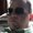 Photo of Mike N.