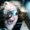 Photo of Deedee S.