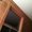 Photo of Larin M.