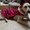 Photo of Khang P.