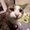 Photo of Laila M.