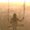 Photo of Shalini C.