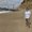 Photo of - N.