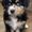 Photo of Georgia H.