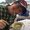 Photo of Kyle S.